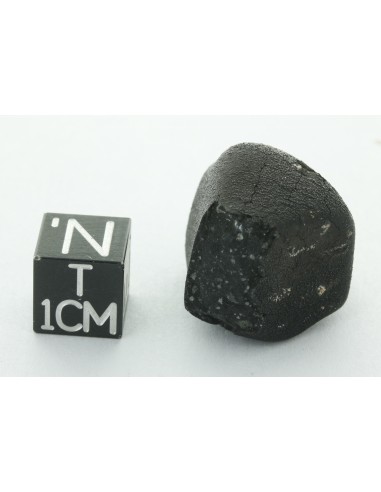 Tarda CM2 Carbonaceous Chondrite 10.42 g | Complete Meteorite