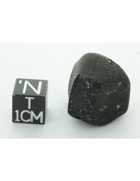 Tarda CM2 Carbonaceous Chondrite 10.42 g | Complete Meteorite