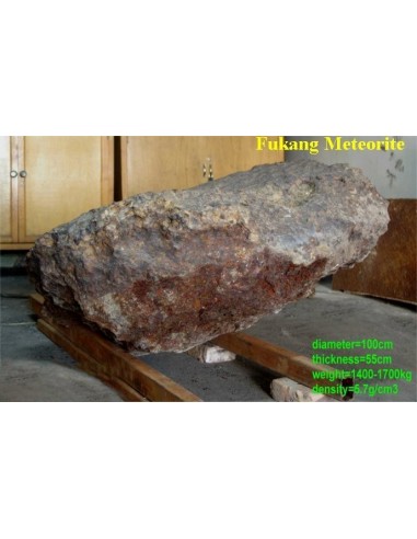 Fukang Pallasite Etched Slice 622 g with Peridot