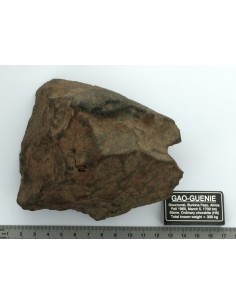 Gao-Guenie Meteorite 1140 g – Large H5 Chondrite Individual from Burki 2