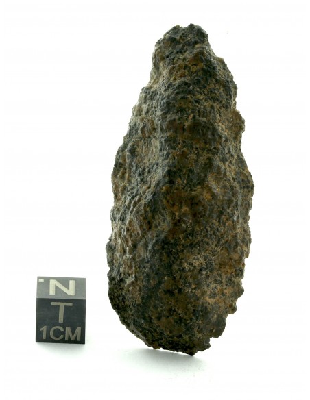 NWA 13925 Martian Meteorite End Cut – Rare Shergottite 34.67 g