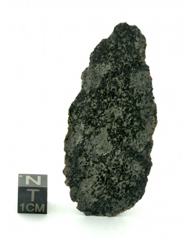 NWA 13925 Martian Meteorite End Cut – Rare Shergottite 34.67 g