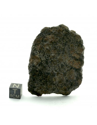 NWA 13925 Martian Meteorite End Cut 60.35 g – Rare Shergottite