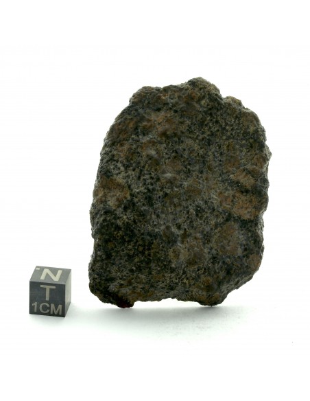 NWA 13925 Martian Meteorite End Cut 60.35 g – Rare Shergottite