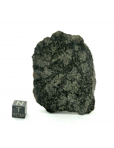NWA 13925 Martian Meteorite End Cut 60.35 g – Rare Shergottite