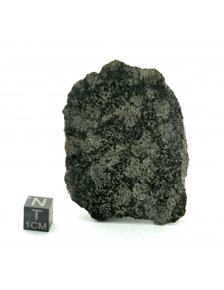 NWA 13925 Martian Meteorite End Cut 60.35 g – Rare Shergottite