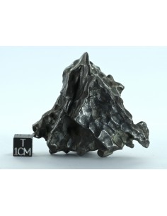 Sikhote Alin Meteorite 214 g – Sculptural Regmaglypted Iron