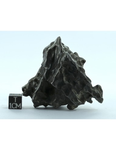 Sikhote Alin Meteorite 214 g – Sculptural Regmaglypted Iron