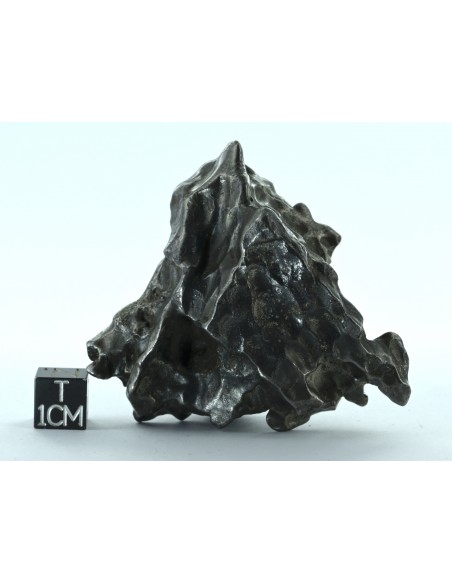 Sikhote Alin Meteorite 214 g – Sculptural Regmaglypted Iron