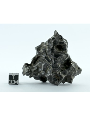 Sikhote Alin Meteorite 214 g – Sculptural Regmaglypted Iron
