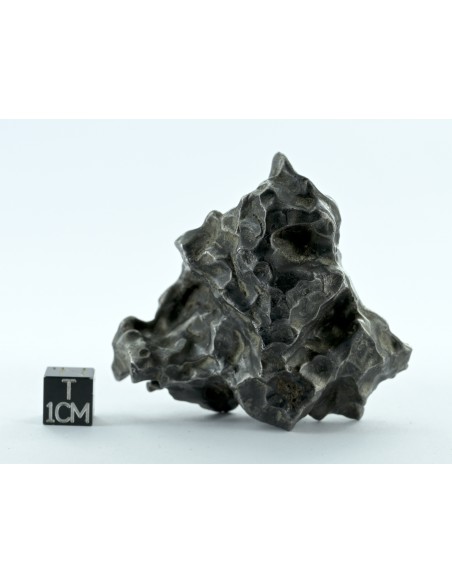 Sikhote Alin Meteorite 214 g – Sculptural Regmaglypted Iron