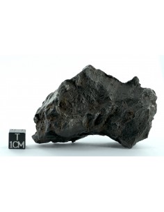Sikhote Alin Shrapnel Meteorite 589 g – Violent Impact Sculpted Iron