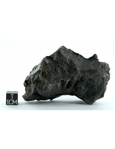 Sikhote Alin Shrapnel Meteorite 589 g – Violent Impact Sculpted Iron