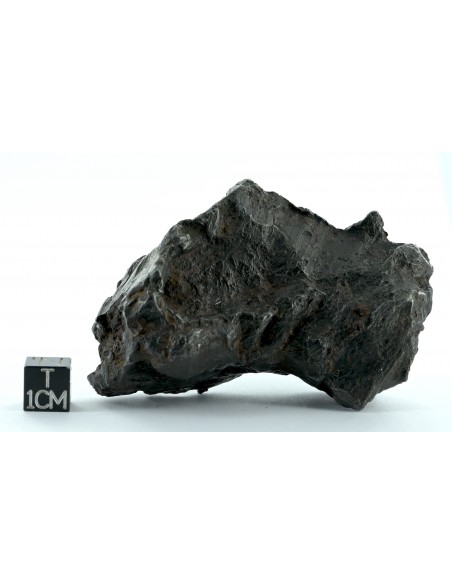 Sikhote Alin Shrapnel Meteorite 589 g – Violent Impact Sculpted Iron