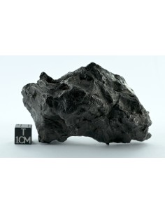 Sikhote Alin Shrapnel Meteorite 589 g – Violent Impact Sculpted Iron 2