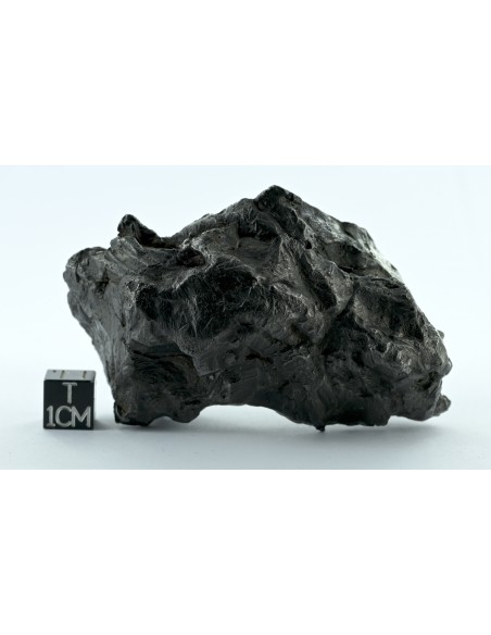 Sikhote Alin Shrapnel Meteorite 589 g – Violent Impact Sculpted Iron
