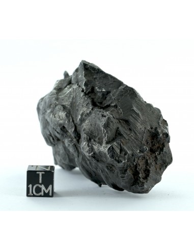 Sikhote Alin Shrapnel Meteorite 589 g – Violent Impact Sculpted Iron