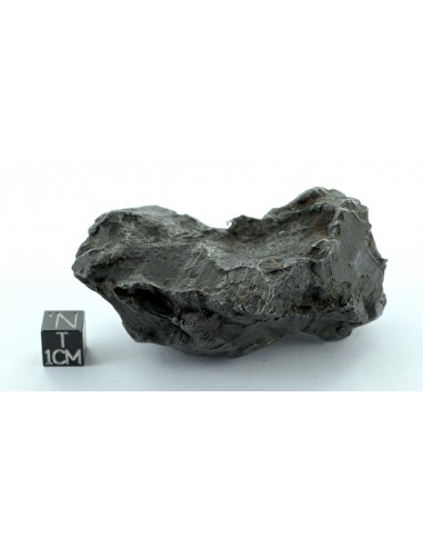 Sikhote Alin Shrapnel Meteorite 589 g – Violent Impact Sculpted Iron