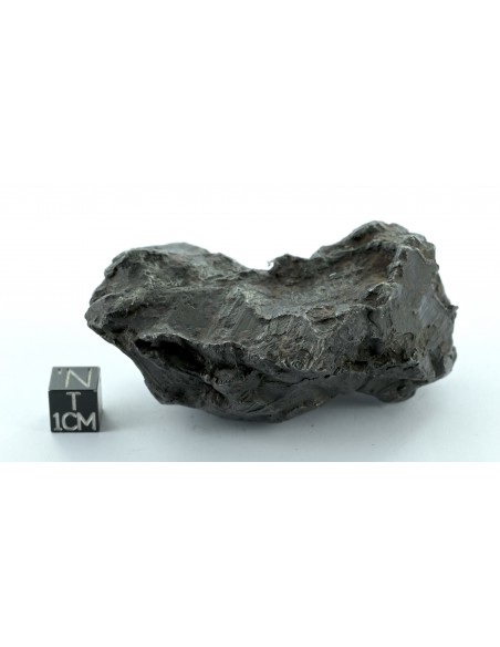 Sikhote Alin Shrapnel Meteorite 589 g – Violent Impact Sculpted Iron