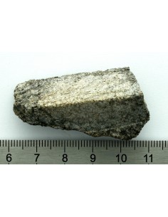 NWA 13307 Achondrite 27.47 g – Reduced Ultramafic End Cut
