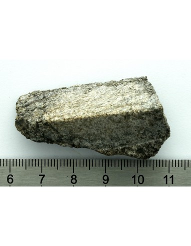 NWA 13307 Achondrite 27.47 g – Reduced Ultramafic End Cut