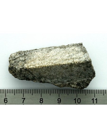 NWA 13307 Achondrite 27.47 g – Reduced Ultramafic End Cut