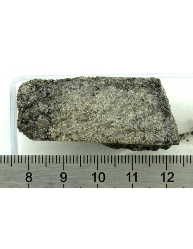 NWA 13307 Achondrite 27.47 g – Reduced Ultramafic End Cut