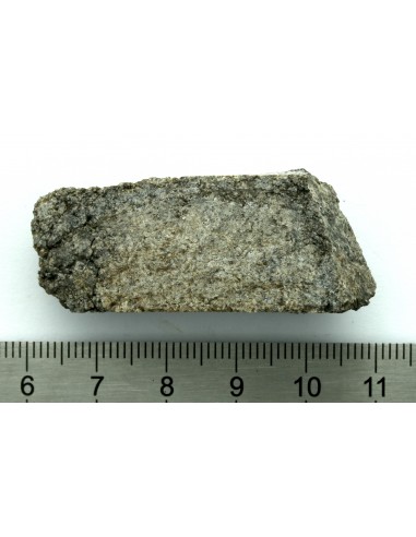 NWA 13307 Achondrite 27.47 g – Reduced Ultramafic End Cut