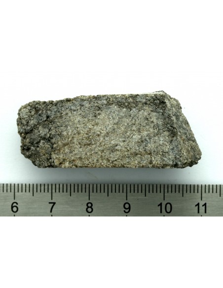 NWA 13307 Achondrite 27.47 g – Reduced Ultramafic End Cut