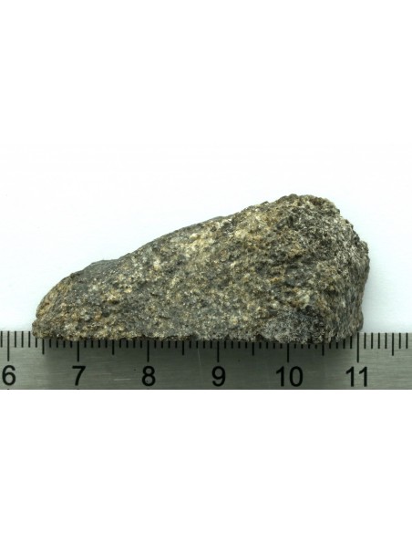 NWA 13307 Achondrite 27.47 g – Reduced Ultramafic End Cut