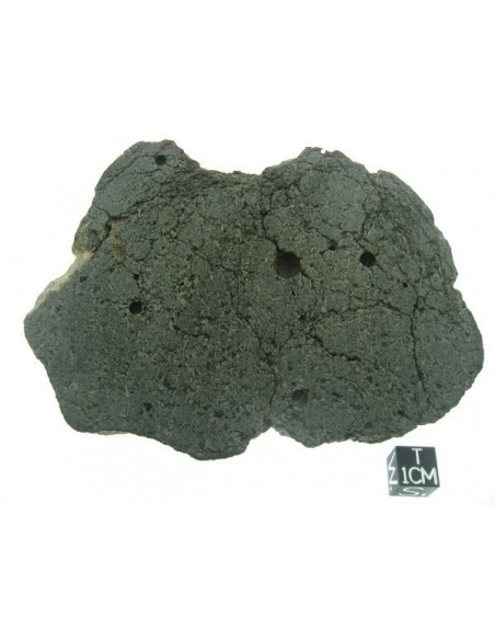 The Rosetta Stone / Sahara 99555