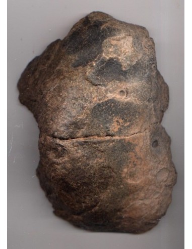 The Rosetta Stone / Sahara 99555