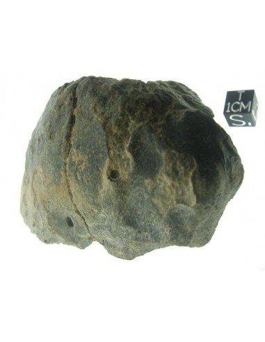 The Rosetta Stone / Sahara 99555