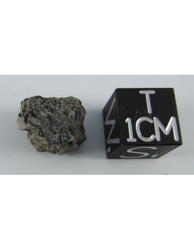 Angrite Sahara 99555