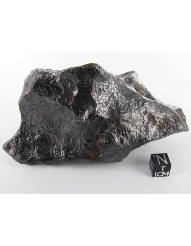 Canyon Diablo meteorite for sale