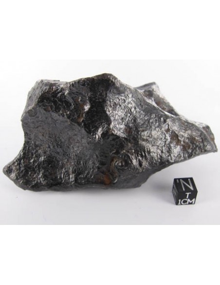 Canyon Diablo meteorite for sale