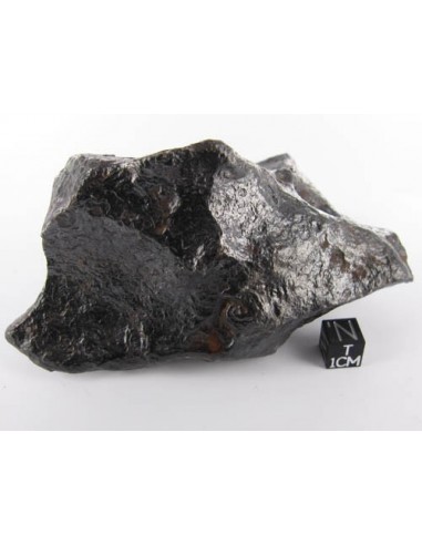 Canyon Diablo meteorite for sale
