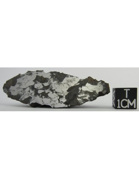 Minera Escondida meteorite