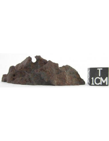 Minera Escondida meteorite