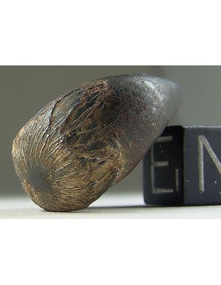 Taza Meteorite