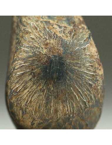 Taza Meteorite