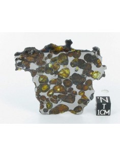 Krasnojarsk Pallasite Slice 24.92 g
