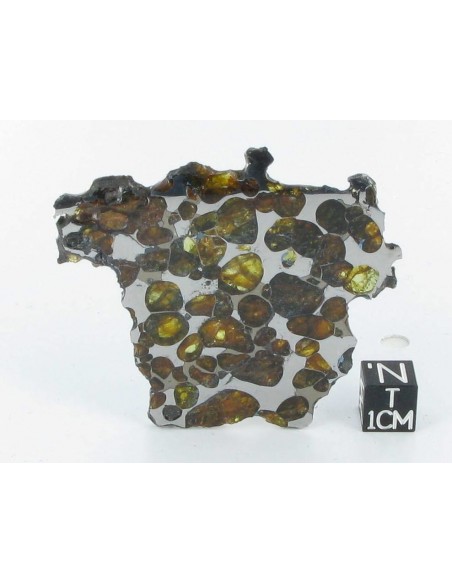 Krasnojarsk Pallasite Slice 24.92 g