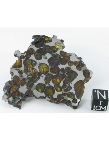 Krasnojarsk Pallasite Slice 24.92 g