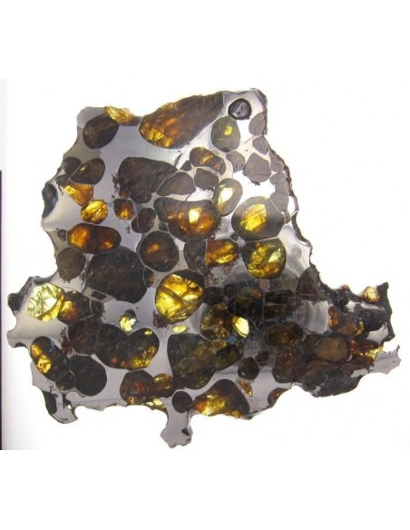 Krasnojarsk Pallasite Slice 24.92 g