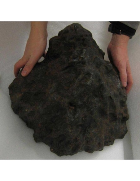 Campo del Cielo meteorite