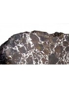 Pallasite Brahin