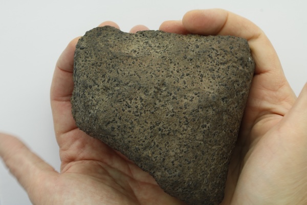 Mars shergottite 1667 g
