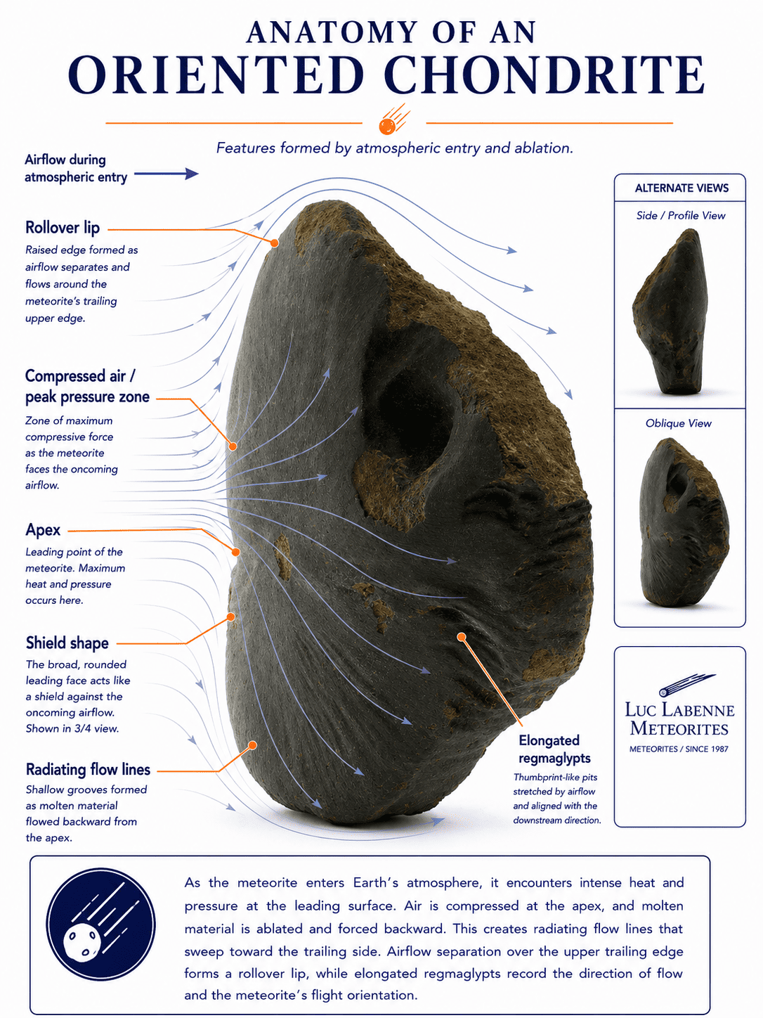 Anatomy of an oriented chondrite meteorite showing apex, shield shape, flow lines, rollover lip and elongated regmaglypts